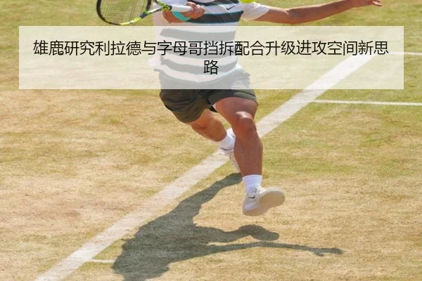 雄鹿研究利拉德与字母哥挡拆配合升级进攻空间新思路