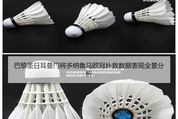 巴黎圣日耳曼门将多纳鲁马欧冠扑救数据表现全景分析